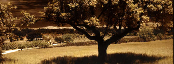 jonathanburnette